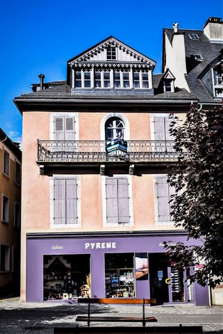 En plein centre d'Arreau, donnant sur la place Arborée et la Neste, à proximité de tous les commerces du centre ville; Cette maison datant du 19 -ème siècle faisait partie du petit patrimoine est un bijoux de notre vallée d'Aure. Composée de trois ni...