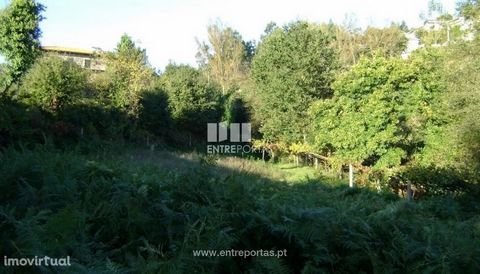 Land for sale with an area of 5000 m2, possibility of construction and water. Good hits. Sande, Marco de Canaveses. Ref.:MC04772 FEATURES: Land Area: 5 000 m2 Area: 5 000 m2 Useful Area: 5 000 m2 Energy Efficiency: Exempt ENTREPORTAS Founded in 2004,...