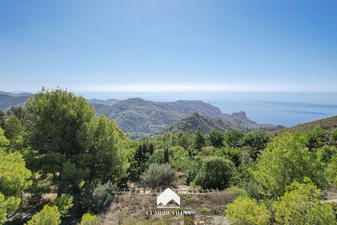 Extraordinary ecological finca for sale near Nerja, in Sierra de Almijara. This spacious country house sits on a 4-hectare ecological land that has been transformed from barren land into a flourishing oasis with sea views. With a main house, a guest ...
