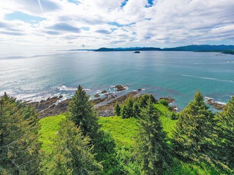 Featuring some of the most premium lots at Cliff Point Estates, The Point homesites offer panoramic ocean views, an expansive shoreline for fishing, boating and exploring, nearby recreation and amenities, as well as unlimited potential. Own and devel...