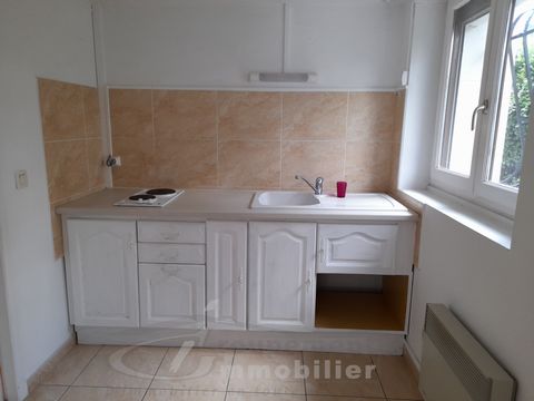 photo no. 19