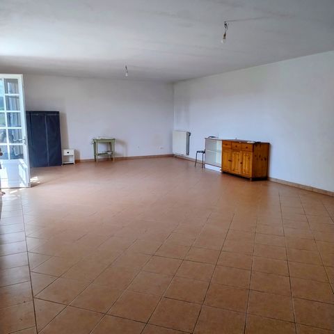 photo no. 6