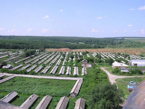 Ориентировочный адрес: Самарская область, Волжский район, пос. Заярье, Ленина 3А. Общая площадь: 146 486 кв.м. (1460,86 сот) (14,65 гектар) На территории расположены: Ангар 530,7 кв.м.; Здание котельной 388,8 кв.м.; два холодильника 2448 кв.м. и 574 ...