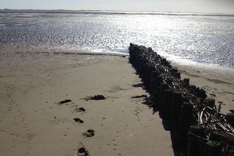 Dit appartement, dat onlangs in 2018 is gemoderniseerd, ligt op 100 meter van de Waddenzee en biedt een uniek uitzicht over de Halligwelt van de Waddenzee.