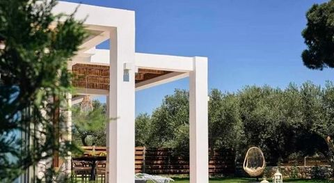 Découvrez le summum de la vie côtière moderne dans cette villa entièrement meublée, nichée dans la zone protégée de Gerakas, Vasilikos, Zakynthos. Faisant partie d'un complexe privé exclusif, cette villa, située à seulement 300 mètres de la mer, inca...