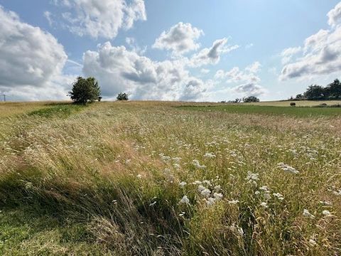 EN EXCLUSIVITE, Chantal Jacquement vous propose , à la campagne, au calme, un terrain à bâtir à seulement 5 min du centre bourg de Corgnac sur l'Isle. Accès facile. Façade de 35 m. Terrain entièrement borné. Certificat d'urbanisme en cours de validit...