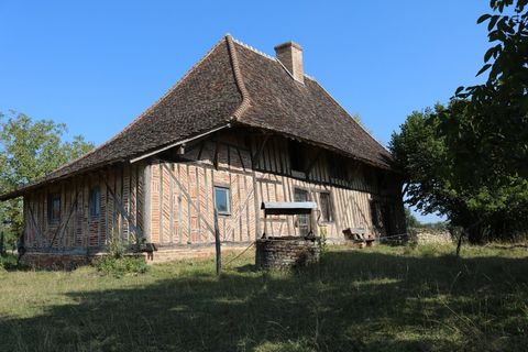 photo no. 2