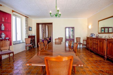 photo no. 5