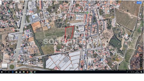 Terrain fantastique pour la construction dans le centre du Monténégro, près de Faro. Ce terrain a environ 9110 m2 dont 5500 m2 sont approuvés pour la construction. La capitale de l'Algarve, Faro, a douze siècles à vivre, alors se promener dans ses ru...