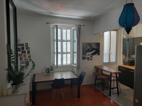 photo no. 8