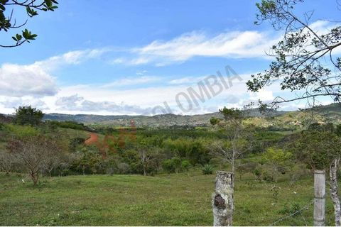 Lots for sale in La Cumbre from 1000 mt2 with a total lot area of 3,500m2 (three thousand five hundred m2) each with its own water Rural sector with high urban development, It is delivered with public services, solar energy, satellite internet. Excel...