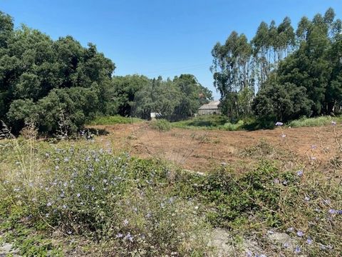 Terreno localizado na Venda das Raparigas com uma área de 3200m². Óptimo para um pavilhão de exposição ou um Stand de vendas. Perto de vários serviços, desde restaurantes, lojas, oficinas e da zona industrial. Venha conhecer!