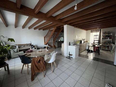 photo no. 13