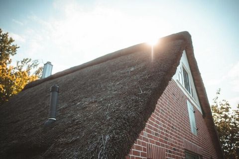 Wonen onder rieten dak in een vakantiehuis vol historie, direct aan de dijk. Ideaal voor een gezin met 2 kinderen. Nog 2 slaapplaatsen in de galerij.