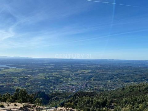 Rustikales Grundstück mit ca. 9 ha in Castelo Velho, Louriçal do Campo. Eingefügt in Serra Gardunha, mit Panoramablick über das Viertel. Fruchtbares Land, hat zwei zerstörte Gebäude, 1 Fluss und einige Ackerkulturen. Strom ist ca. 200 Meter entfernt ...