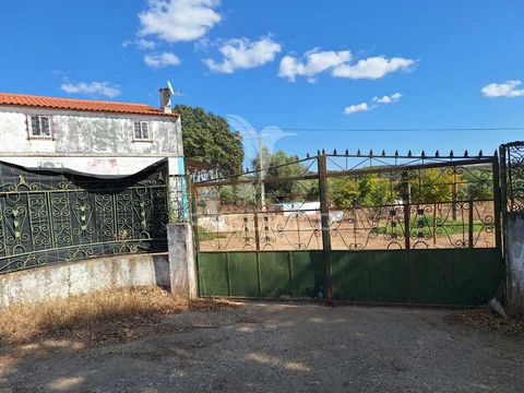 Propriedade encantadora em Alter do Chão, com características que fazem dela um local especial para viver.  Aqui estão os destaques dessa quinta: T3 : A casa principal tem 3 quartos, proporcionando um espaço confortável para uma família ou para receb...