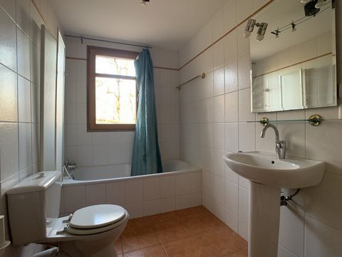 photo no. 15