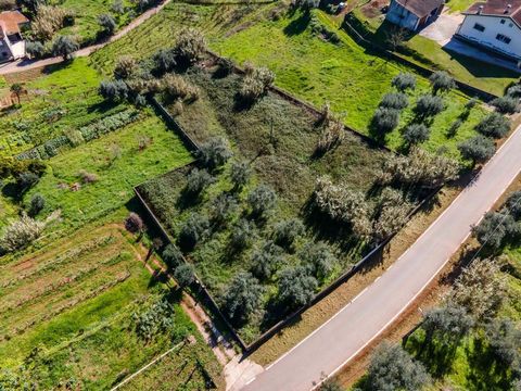 Magnificent land located in Ceira, just a few minutes from the new Metro Bus station, which will connect Coimbra and Lousã. Privileged with a South East sun exposure, this land with 2,200m2, walled on its perimeter, is inserted in a rural area and in...