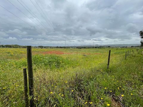 Bienvenue à l'opportunité d'investissement que vous attendiez ! Ce terrain rustique exceptionnel, situé dans la prestigieuse Quinta do Anjo, à Palmela, est bien plus qu'un simple terrain - c'est votre porte d'entrée vers la tranquillité et la sérénit...