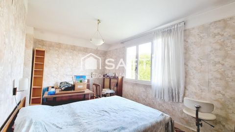 photo no. 11