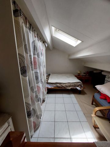 photo no. 6