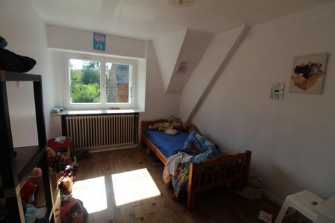 photo no. 8