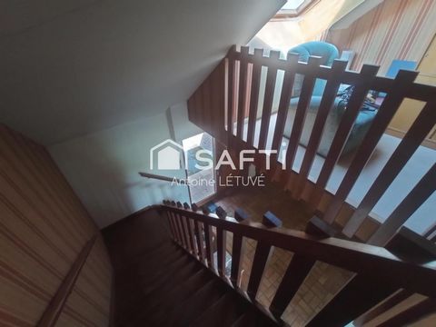 photo no. 12