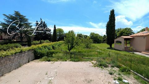photo no. 6