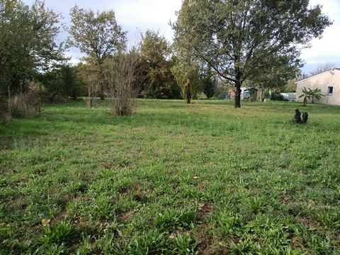 Très beau terrain plat