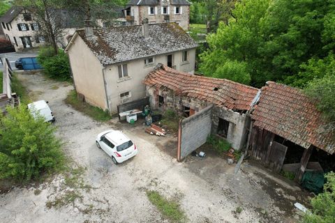photo no. 15