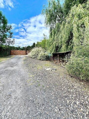 photo no. 1