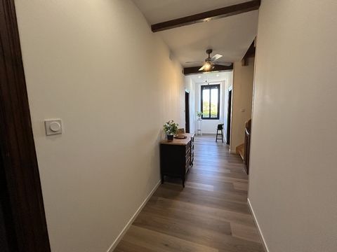 photo no. 31