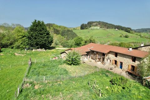 MAISON EN PIERRE 160 M2, TERRAIN ARBORÉ DE 7298 M2, 3 CHAMBRES, DÉPENDANCES, FIBRE, TF 254, DOUBLE VITRAGE, GROS UVRES OK