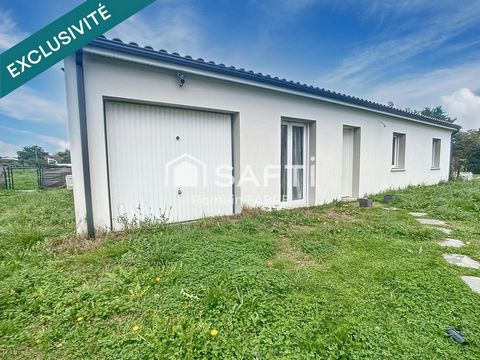 photo no. 10