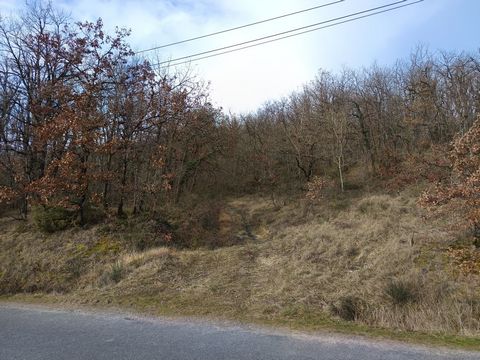 photo no. 1