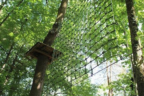 Fonds de commerce Activité de loisirs sur Limoges Nord. Parc accrobranche d' 1,5 hect ( possibilité 3 hect ) , ouvert pendant les vacances scolaires et les week end. 7 parcours ,125 ateliers. 160 baudriers: 120 adultes et 40 enfants . Environ 150 cli...