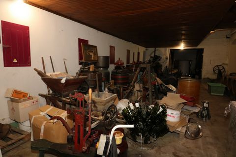 photo no. 4