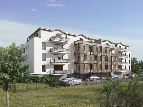 Appartement - 2 pièces - 54m²