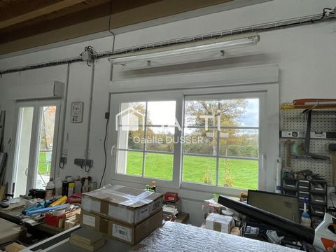 photo no. 13