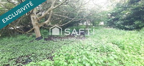 photo no. 13