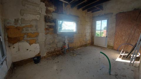 photo no. 6