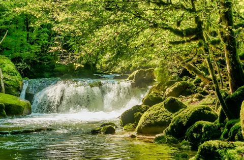 AUDE PROPRIETE ECOLOGIQUE GITES 180 HA
