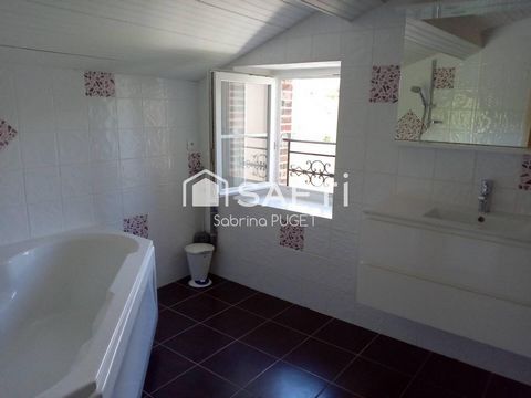 photo no. 9