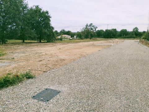 photo no. 3