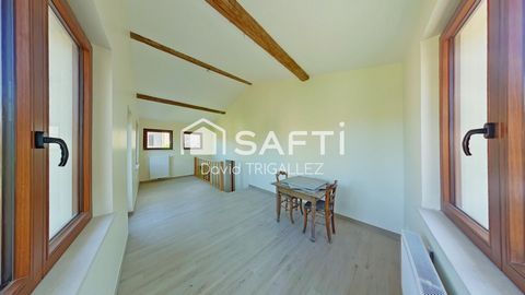 photo no. 7