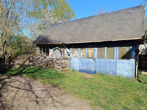 photo no. 10