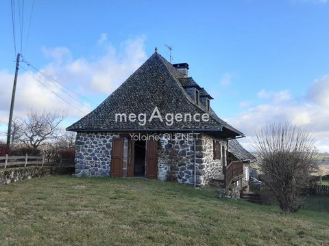 photo no. 2