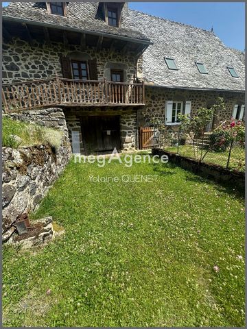 photo no. 6