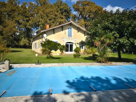 photo no. 21
