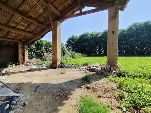 photo no. 10